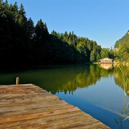 Alpapart Schneider Alpbach Εξωτερικό φωτογραφία