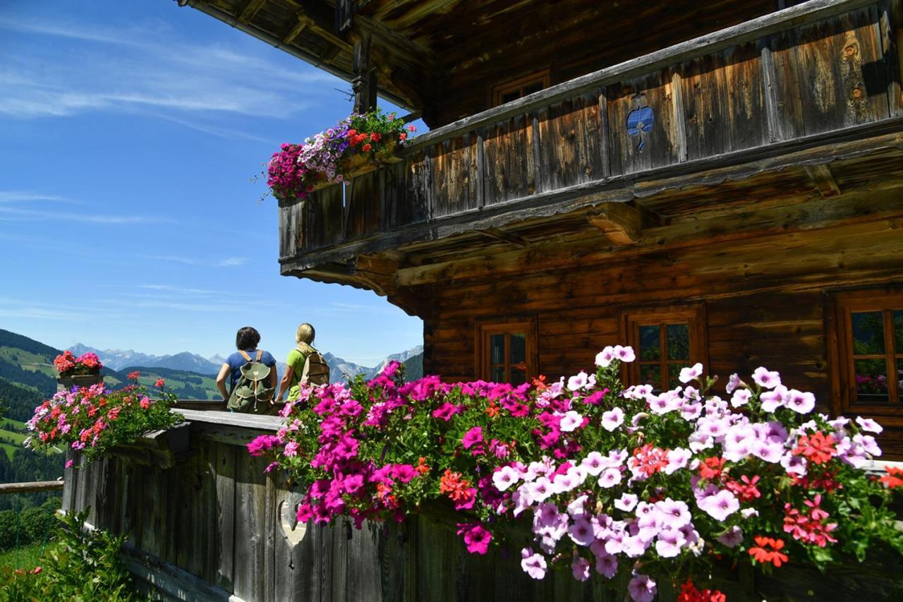 Alpapart Schneider Alpbach Εξωτερικό φωτογραφία