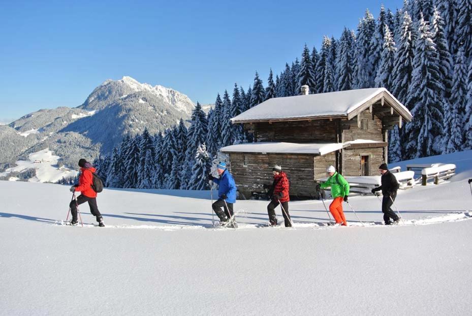 Alpapart Schneider Alpbach Εξωτερικό φωτογραφία